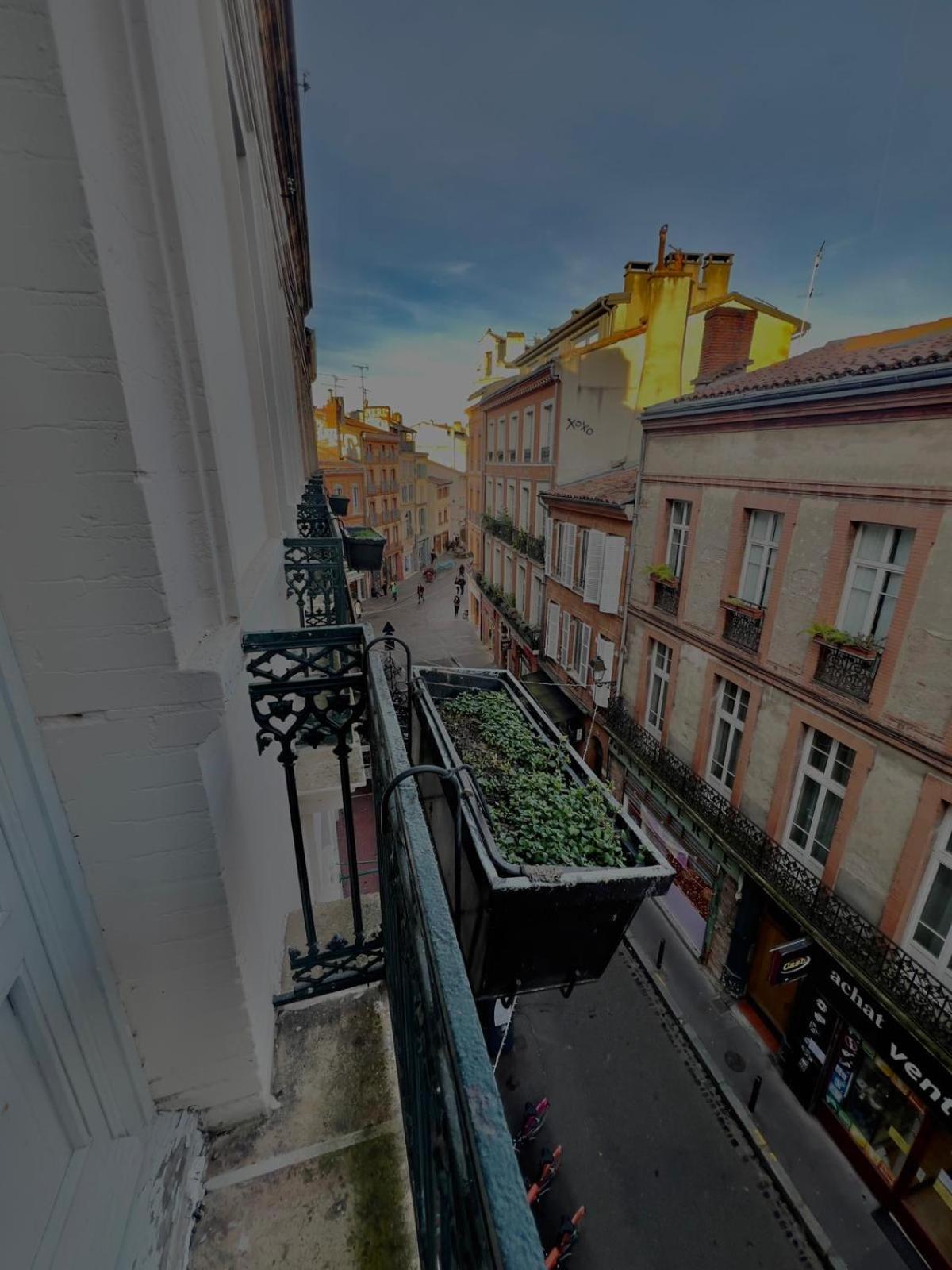 Capitole - Appartement T2 Au Coeur De La Ville Rose Toulouse Ngoại thất bức ảnh